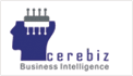 cerebiz
