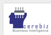 kandysoft global corpoartion - cerebiz