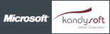 biz intelligence – why not sri lanka..